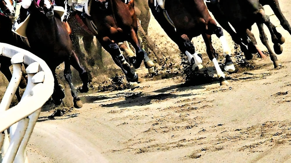 オグリキャップの引退レースとなった有馬記念。「勝てない」と思ってい