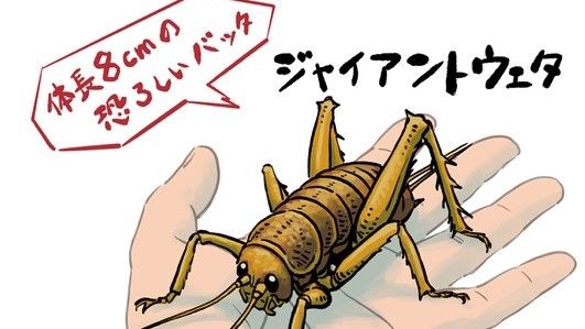 ぼくらが知っている意味での「昆虫」ですらない巨大バッタ