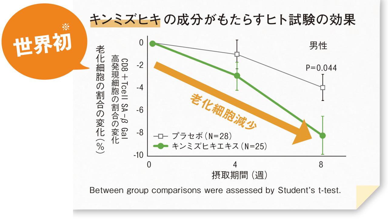キンミズヒキの成分がもたらすヒト試験の効果