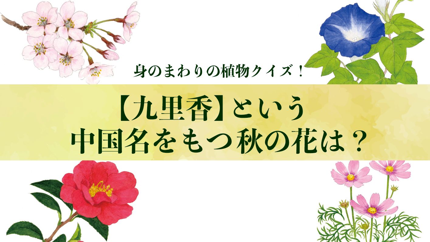 婦人公論