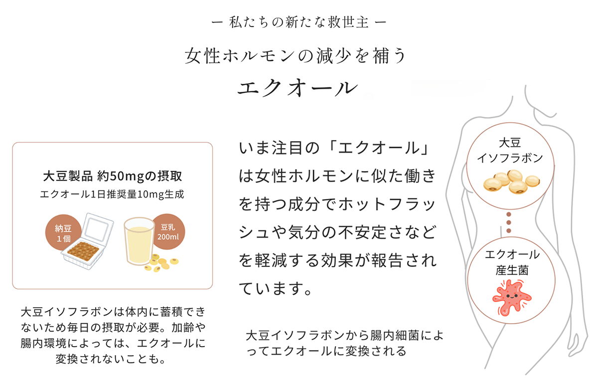 年齢による女性ホルモン量の変化のグラフ
