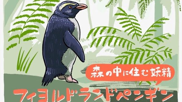 餌資源が豊富な海域で暮らすフィヨルドランドペンギンが、なぜ毎年1万