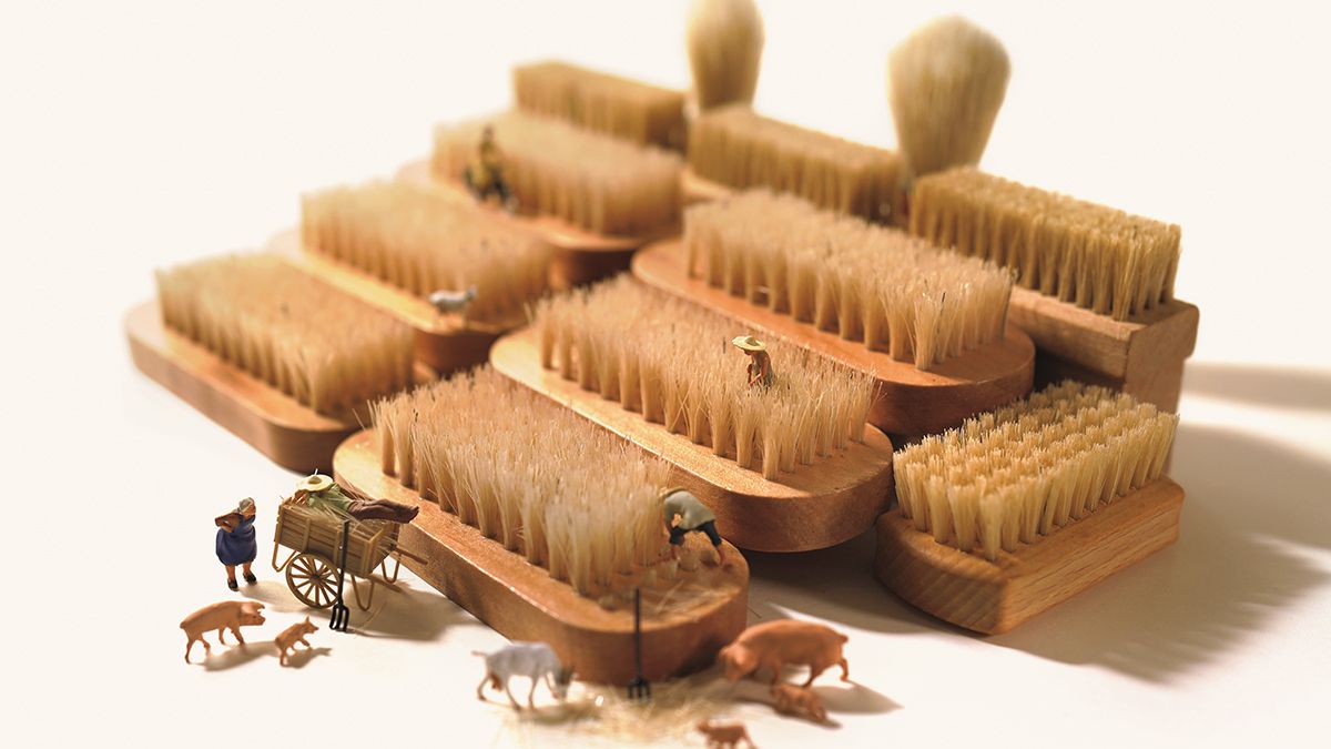 田中達也「ブラシの『二毛作』。季節ごとの動物の毛の生え替わりも畑と