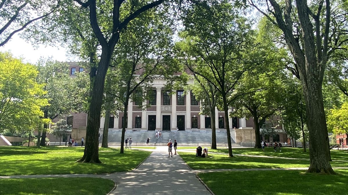 （7ページ目）日本の大学でなくハーバードやMITなど海外大学進学が増加…それって本当？ はやり言葉に飛びつく「新しい教育」「新しい学校」が