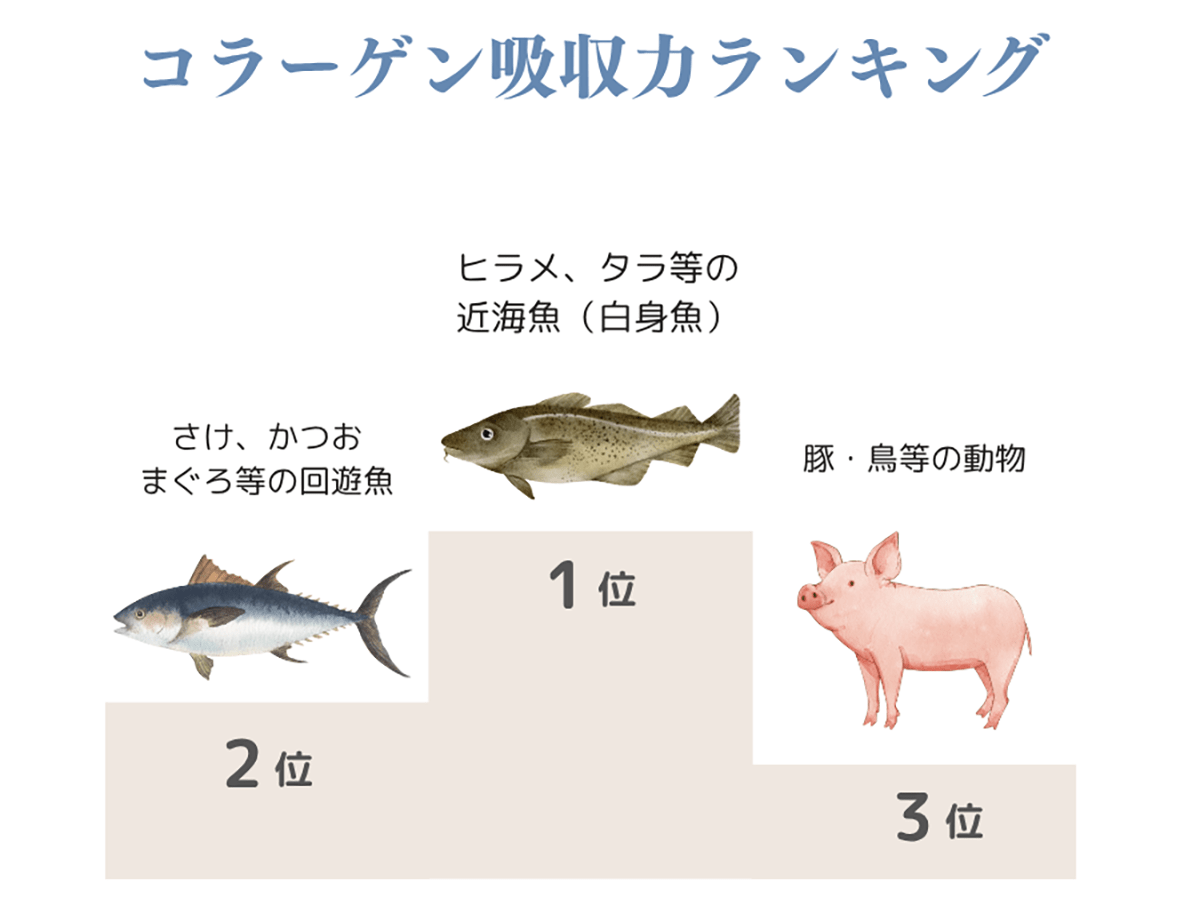 年齢による女性ホルモン量の変化のグラフ