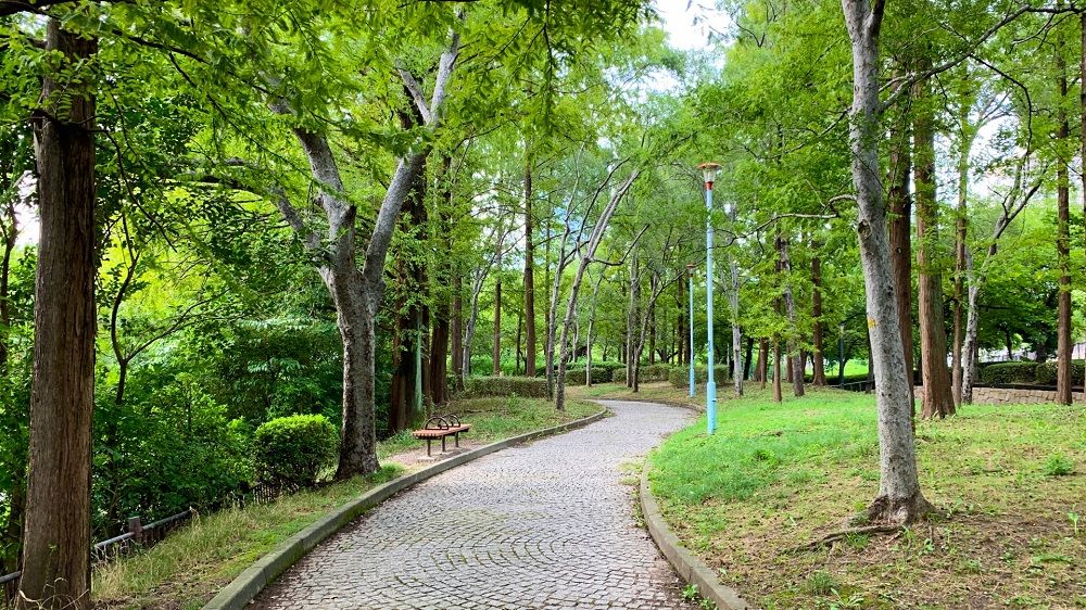 定年夫との喧嘩で近所の公園へプチ家出 豚に癒され 戻ると夫が謝ってきた 読者のひろば 人間関係 婦人公論 Jp