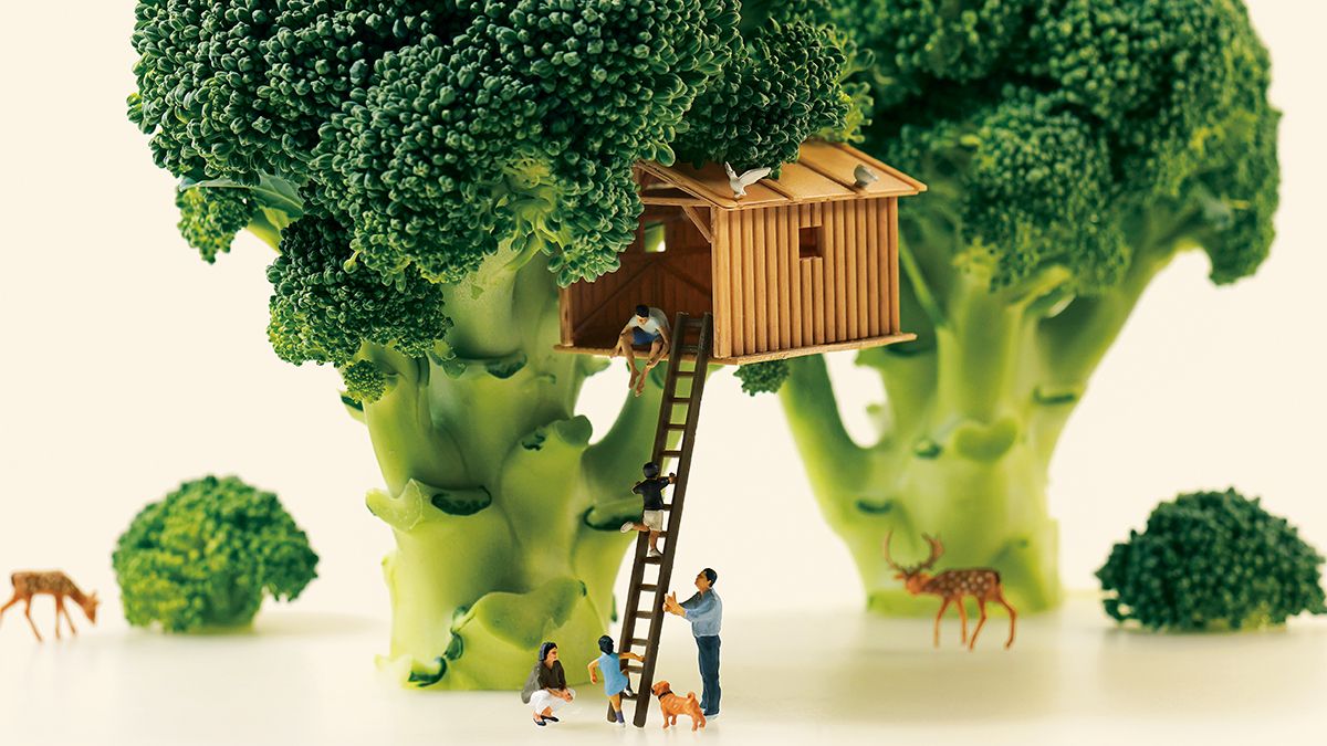 新品未使用】田中達也 木製フレーム額装キャンバス「ブロッツリー