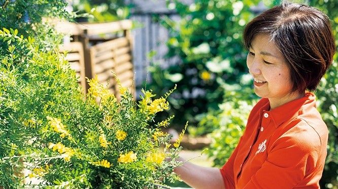 『あさイチ』に登場!片付けの達人・井田典子 片付かない家と「お金」「時間」のよどみはこんなに絡み合っている。よどみを取り除き、暮らしがめぐり ...