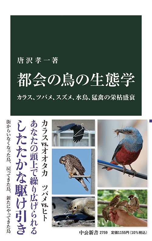 都会の鳥の生態学――カラス、ツバメ、スズメ、水鳥、猛禽の栄枯盛衰