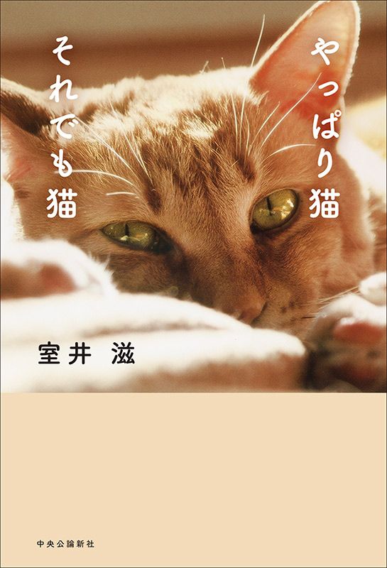 やっぱり猫 それでも猫