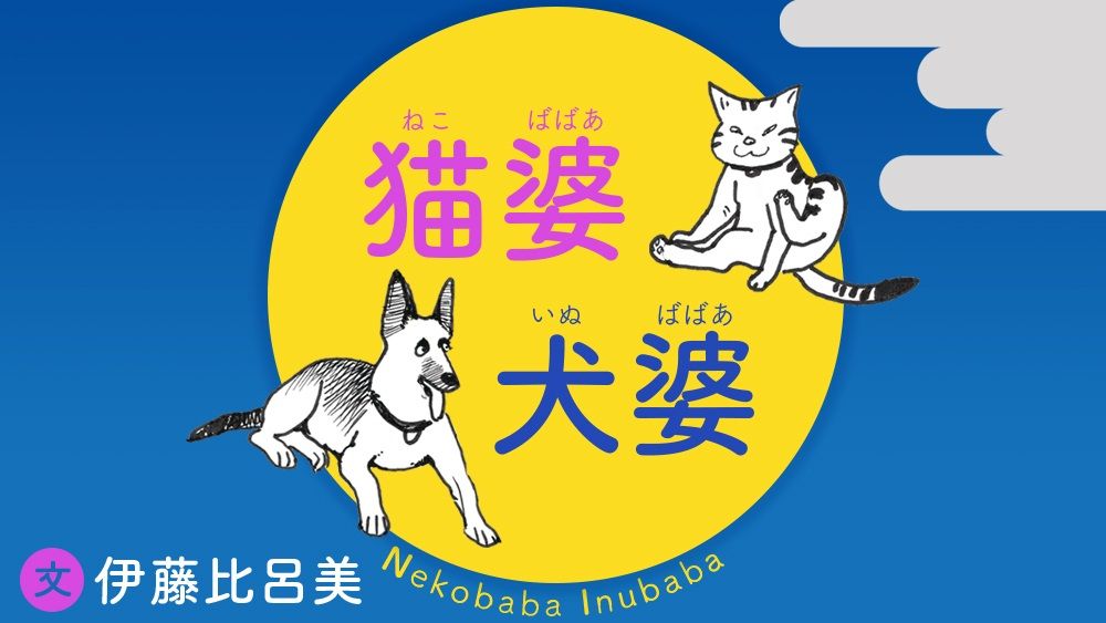 猫婆犬婆 伊藤比呂美 連載 婦人公論 Jp
