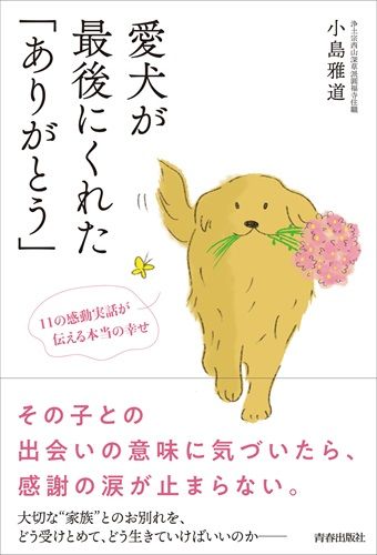 愛犬が最後にくれた「ありがとう」