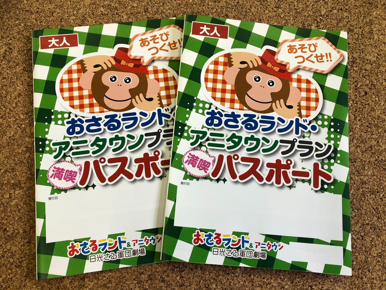 見て、遊んで、触れ合える「日光おさるランド＆アニタウン」入園