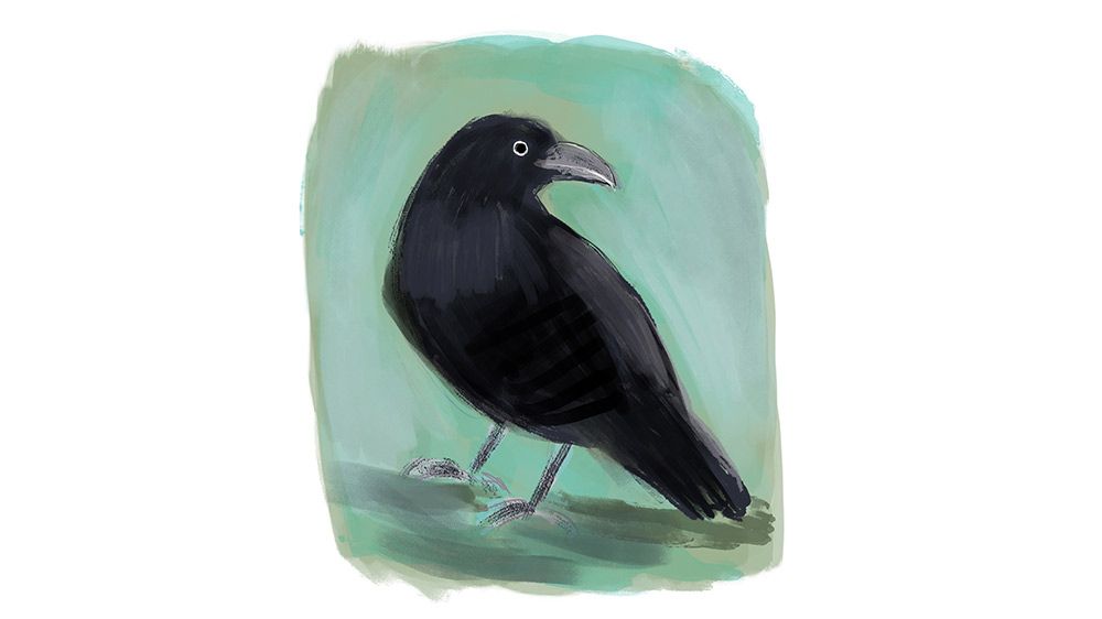 不思議体験 怒鳴る夫のストレスで重度のメニエール病に 台所で倒れた私を １羽のカラスが見つめている 読者体験手記傑作選 見た 聞いた 感じた あれは 読者体験手記 婦人公論 Jp